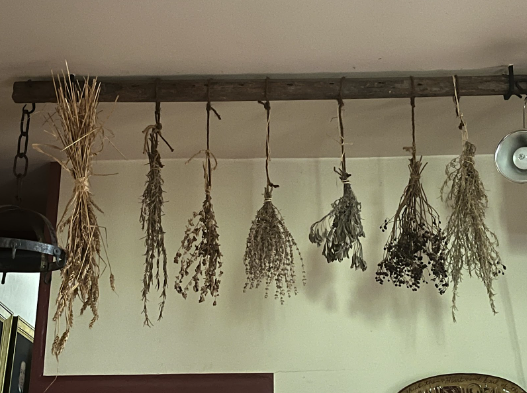 CumbCoHistSoc's tweet photo. What herbs do you use in your cooking? Newspaper articles throughout the early twentieth century raved about the utility of herb gardens in culinary arts. Interest spiked during the Great Depression, as “the modicum of care required to keep the little herb garden thrifty and https://t.co/Af2HfD7ul4