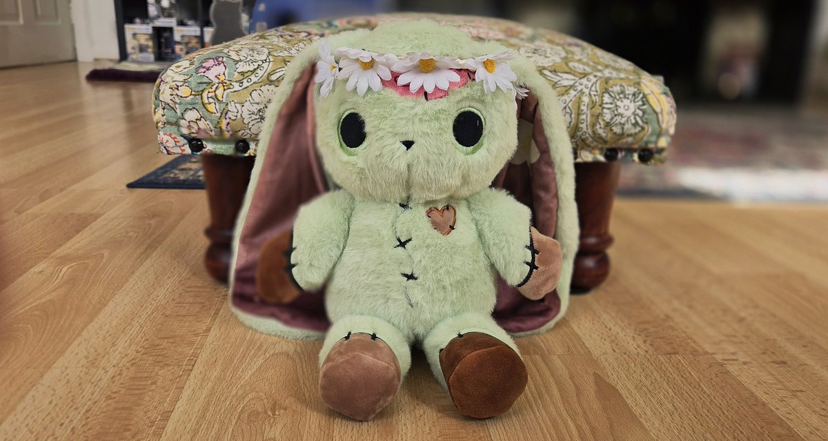 Jules04603468's tweet image. Introducing Nuala, my latest #PlushieDreadful just arrived yesterday 💚🐇🌳🧠🌼💚
