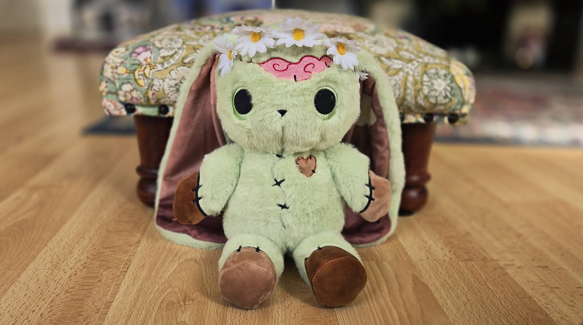 Jules04603468's tweet image. Introducing Nuala, my latest #PlushieDreadful just arrived yesterday 💚🐇🌳🧠🌼💚