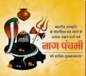 Nag Panchami festival is celebrated  with great enthusiasm on fifth day of the Hindu month of Shravan. This festival teaches us - Respecting nature and it's creatures is the essence of Nag Panchami.
Nag Panchami also teaches us that devotion leads to divine protection