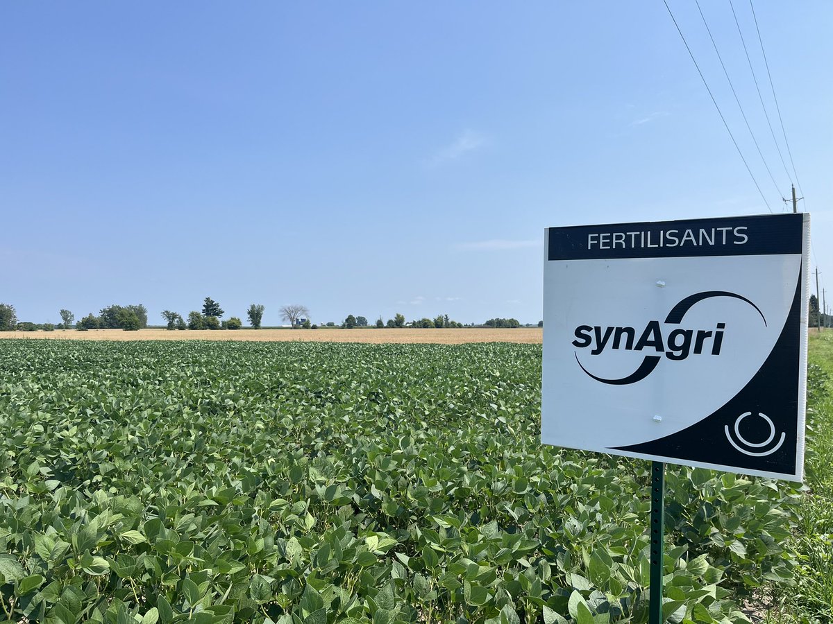 La mission de Synagri:
Aider les producteurs agricoles à être plus performants.
Nous sommes toujours fiers d’offrir une gamme de produits performants et de services agronomiques innovants!
<a href="/SynAgri_SEC/">SynAgri</a> <a href="/Peter2802/">P.GuyenCCA-ON</a>
#ontag