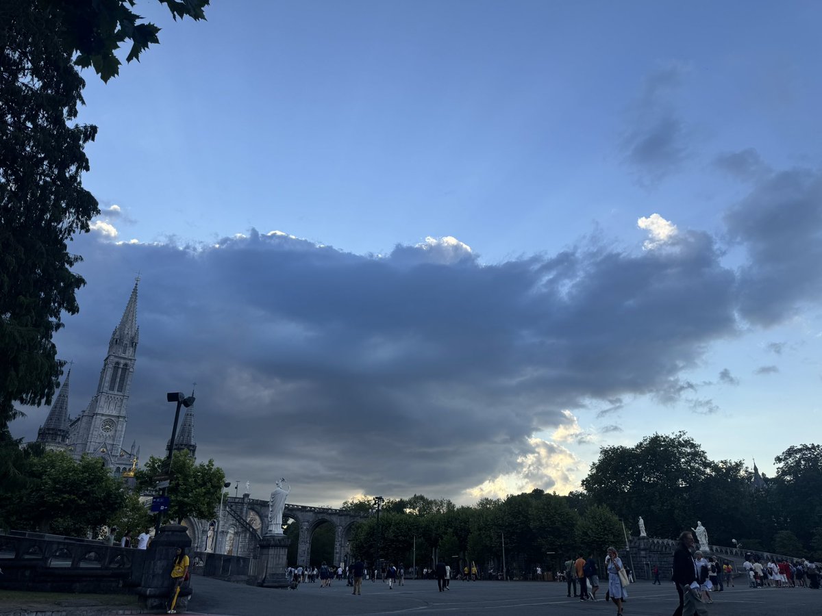 Mr Delaney tweet media