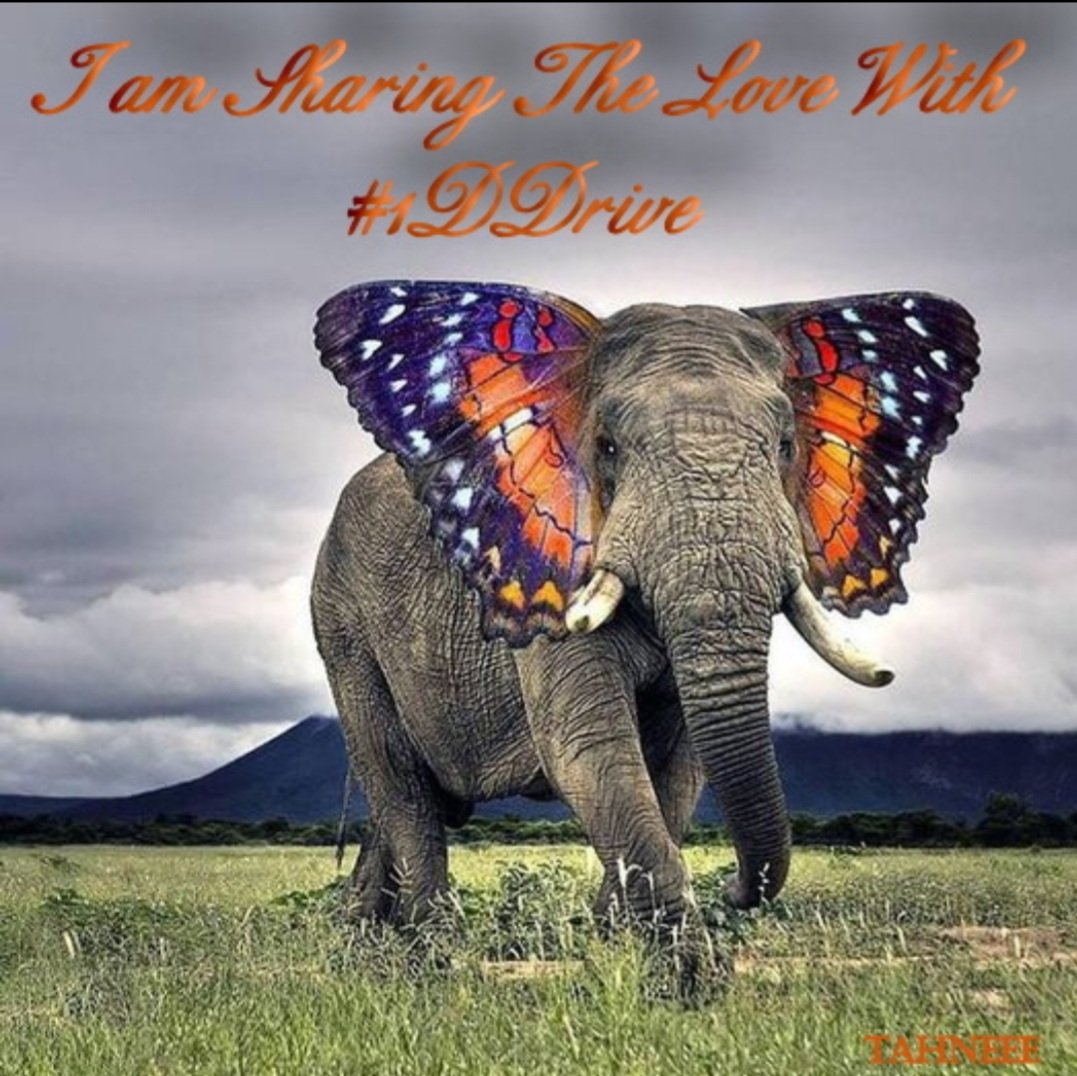 #1DDRIVE
<a href="/HARRYS1DEMPIRE/">TAHNEE 👑🇲🇽🇺🇸</a> 
<a href="/eReferenceDesk/">#eReferenceDesk☞ Joe</a>
<a href="/Aluddin19/">Aluddin19</a>
<a href="/bluea125/">BlueA125</a> <a href="/DianeElQueen/">🌹Diane🌹</a>
<a href="/GRAHAM15583/">🅶🆁🅰🅷🅰🅼</a>
<a href="/DianeDaQueen/">🌹Diane🌹</a> <a href="/Saori__M/">ღƪ(ˆ◡ˆ)ʃ♡ℳДƦîƝ இ️ ♡</a>
<a href="/Maiko_2111/">🥀᭄᭄ℳℳДƦîƝ 🥀᭄᭄</a> <a href="/Luisa1E/">Luisa Elena 🌹Luisa🌷</a>
<a href="/Siogo61/">@siogo61</a> <a href="/LuisaLaRosa/">Luisa🌹</a>
<a href="/tnmuda/">Tn Muda</a> <a href="/Mechis_M/">🥀𑜞᭄ ❤️‍🔥ℳariղ❤️‍🔥🥀𑜞᭄</a>
<a href="/LauraM24960/">LAURA 👑</a> <a href="/Luisa1Queen/">.•° ✿ °•. LuisaElena ꧂🌹</a>
<a href="/_lawonder/">༺ •✫ 𝘞𝘰𝘯𝘥𝘦𝘳 ✫• ༻</a> <a href="/Baloch_786_/">❣️ AB Zehri ❣️</a>

<a href="/ginaaaaa24/">SuperGina♥️💚♥️</a> <a href="/ginestarros/">SuperGina♥️💚♥️</a>
<a href="/lumpie125/">lumpie125</a> <a href="/MARTHA_CAN2/">MARTHA 👑</a>