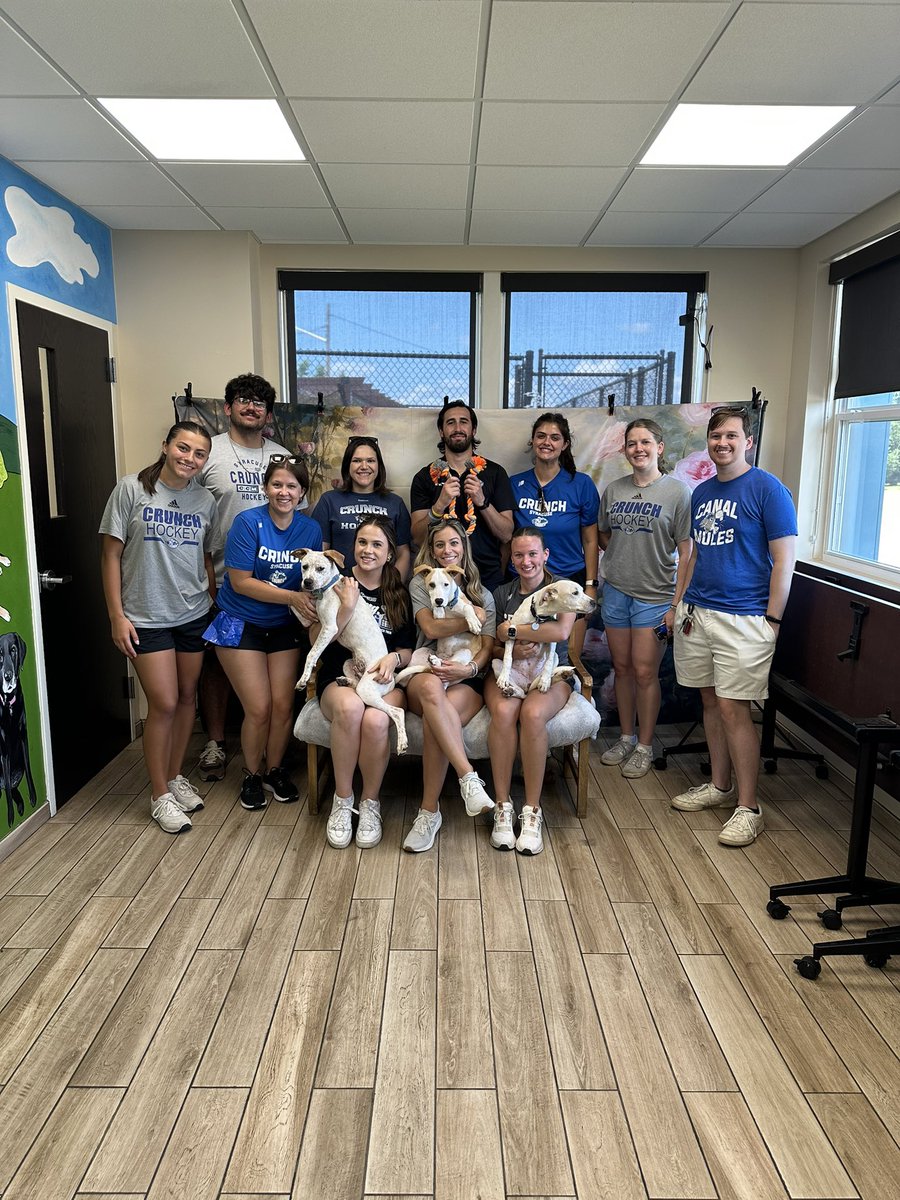 SyracuseCrunch's tweet photo. Thank you to Helping Hounds Dog Rescue for letting our front office staff walk these adorable adoptable pups this afternoon! 🐶 https://t.co/QOEQrgFy0b
