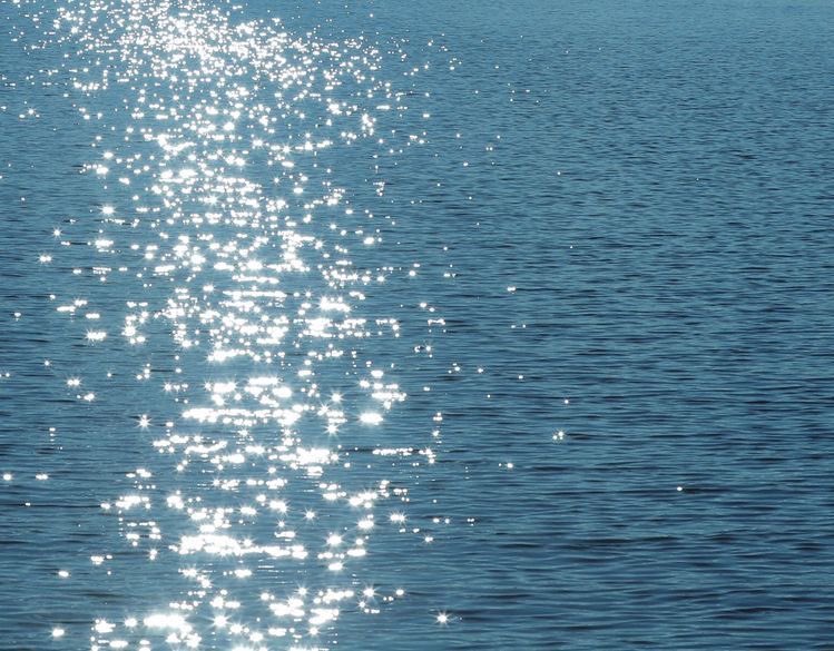 Forever obsessed with the way the sun sparkles on water