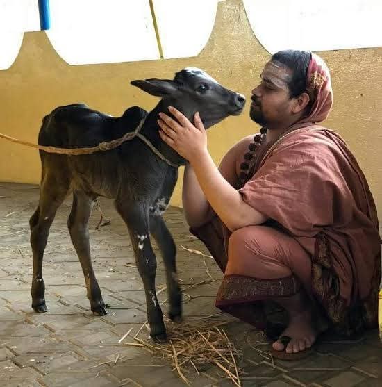 पूज्य पाद दक्षिणाम्नाय श्रृंगेरी शारदा पीठाधीश्वर जगद्गुरु शंकराचार्य भारती तीर्थ महाराज जी के कृपापात्र शिष्य चलमूर्ति शंकराचार्य स्वामी श्री विधुशेखर भारती  महाराज जी के ३३वें वर्धान्ति महोत्सव की हार्दिक बधाई व अनंत कोटि दंडवत प्रणाम 🙇💐 
<a href="/sringerimath/">Sringeri Math</a>
#गौमाता_राष्ट्रमाता