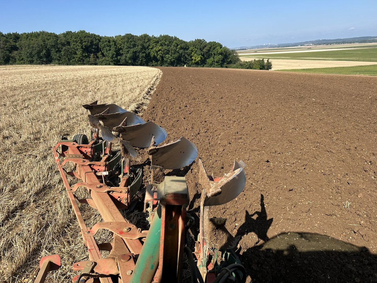 Quand mes plans se déroulent à merveille… un déchaumage léger derrière blé, 100mm, les ray-grass relèvent au 25 juillet (étonnant) et un petit labour pour Mme la #comtesse. Oui ça fait tôt mais le boulot est top