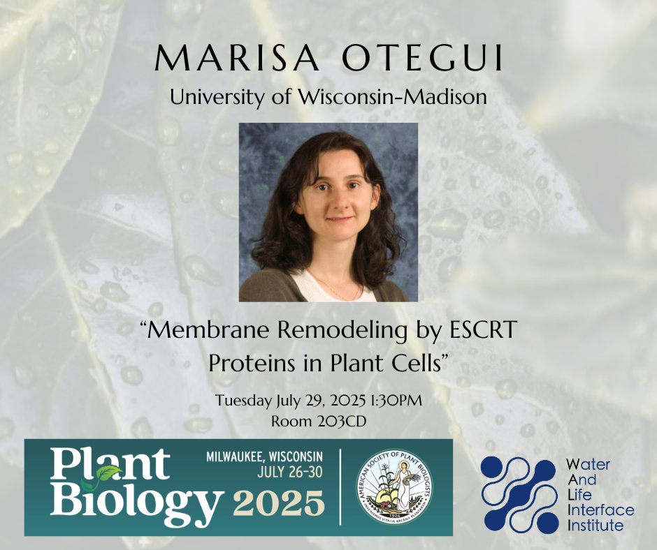 WALII Member Marisa Otegui will be speaking this afternoon at the <a href="/ASPB/">ASPB</a> Conference! Make sure to attend to listen to her talk on "Membrane Remodeling by ESCRT Proteins in Plant Cells." 

#PlantBio2025