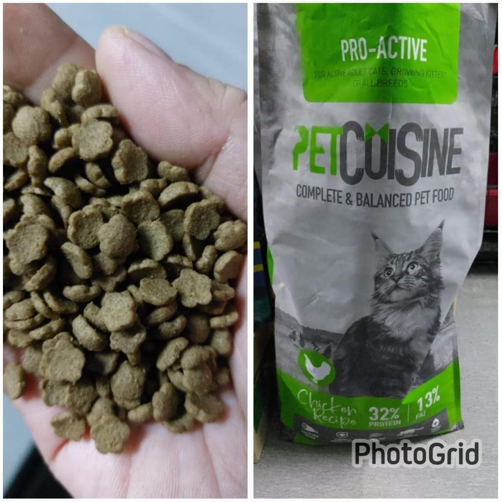 Open order Petcuisine Kibbles 18kg RM108..

Ada yg nk join order grup utk kibbles PETCUISINE ni?? Kita tgh nk cukupkan kuota MOQ.. kalau nk order utk bg pd feeder² pn boleh..☺️

Pick up location Ampang

Sp nk join boleh dm ye.. cukup jumlah kita akn close order utk bln ni..