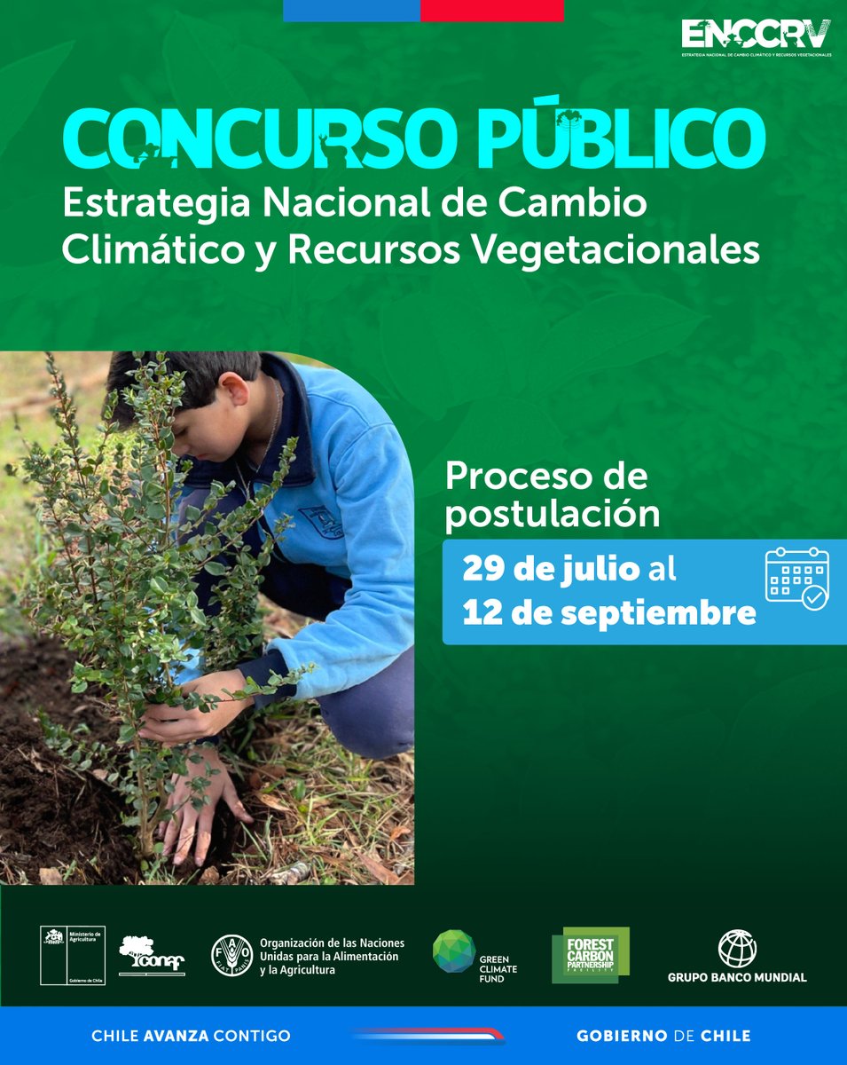 🟢#CONCURSO |  ¿𝗤𝘂𝗶𝗲𝗿𝗲𝘀 𝗰𝗼𝗻𝘁𝗿𝗶𝗯𝘂𝗶𝗿 𝗮 𝗹𝗮 𝗿𝗲𝘀𝘁𝗮𝘂𝗿𝗮𝗰𝗶𝗼́𝗻 𝗱𝗲𝗹 𝗯𝗼𝘀𝗾𝘂𝗲 𝗻𝗮𝘁𝗶𝘃𝗼 𝘆 𝘀𝗲𝗿 𝗽𝗮𝗿𝘁𝗲 𝗱𝗲 𝗹𝗮 𝘀𝗼𝗹𝘂𝗰𝗶𝗼́𝗻 𝗮𝗹 𝗰𝗮𝗺𝗯𝗶𝗼 𝗰𝗹𝗶𝗺𝗮́𝘁𝗶𝗰𝗼? Entonces, esta información es para ti.

Hoy se inicia el 𝗽𝗿𝗼𝗰𝗲𝘀𝗼
