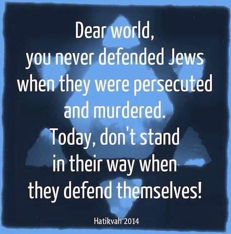 NOT IN MY NAME.
I am Dutch and I stand with Israel. 
The Dutch government does not speak in my name. A lot of Dutch people stand with Israel.
