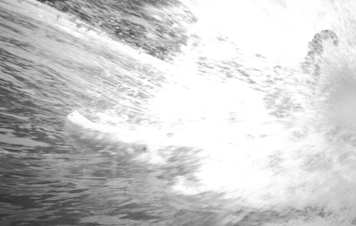 Oliver Reinis tweet media