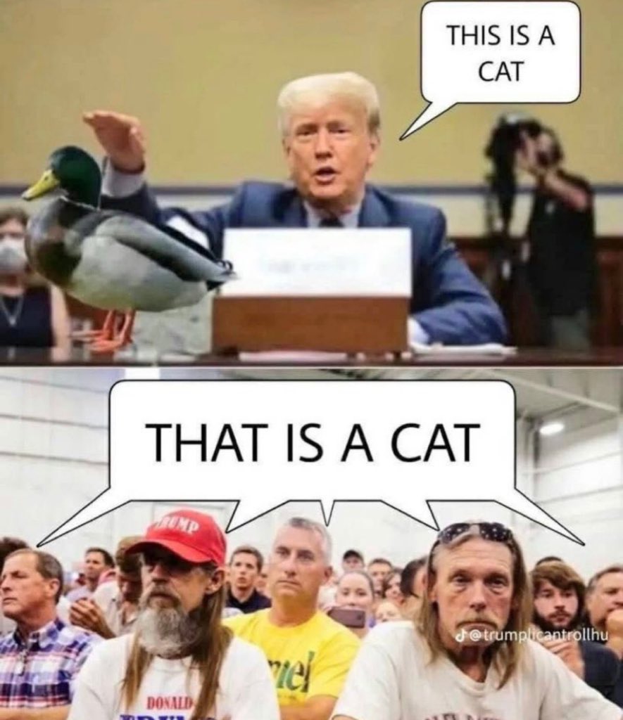 GxCB9uIXoAAgirE?format=jpg&name=medium