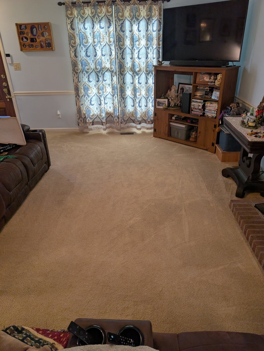 Woke up at 6 a.m. and shampooed the living room rug before coffee or breakfast. Felt it best to get it done and out of the way. Now the rest of the day is mine.