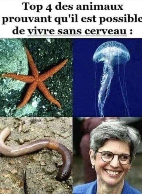 Reconquête! 49 Maine-et-Loire (@49reconquete) on Twitter photo 