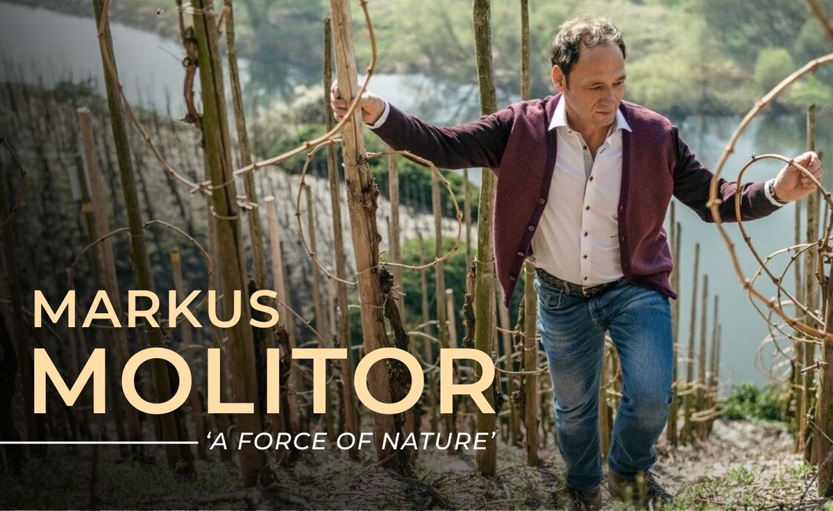 Any visit to Markus Molitor’s Klosterberg is a tour de force. The man himself is a force of nature,’ says Vinous of this magician from the Mosel. We’re delighted to introduce the newest producer in our portfolio: Weingut Markus Molitor.🌟

Read more: winecellar.co.za/new-producer-a…
