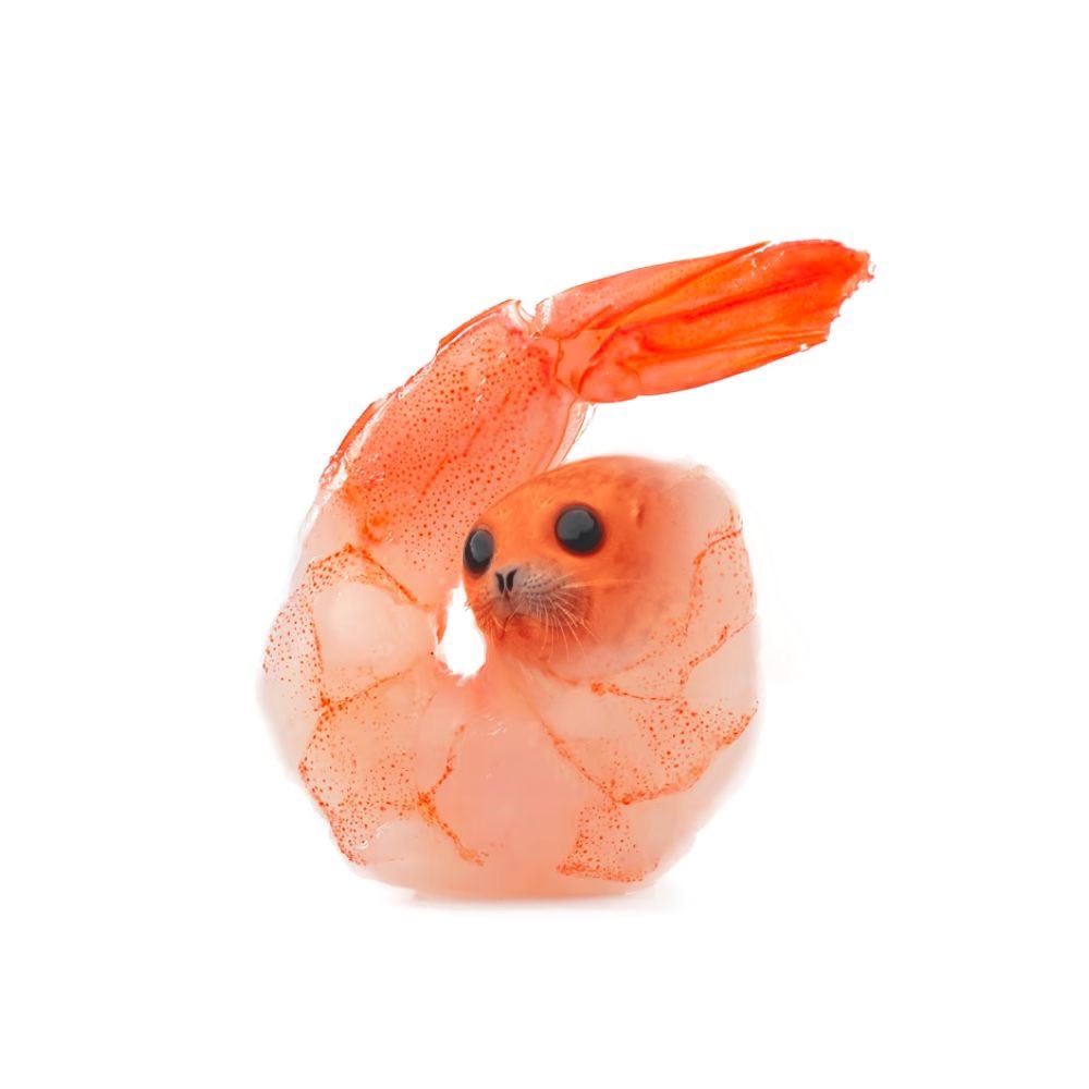 CHighCommand's tweet image. All Helldivers will be turned in a shreal upon being captured.