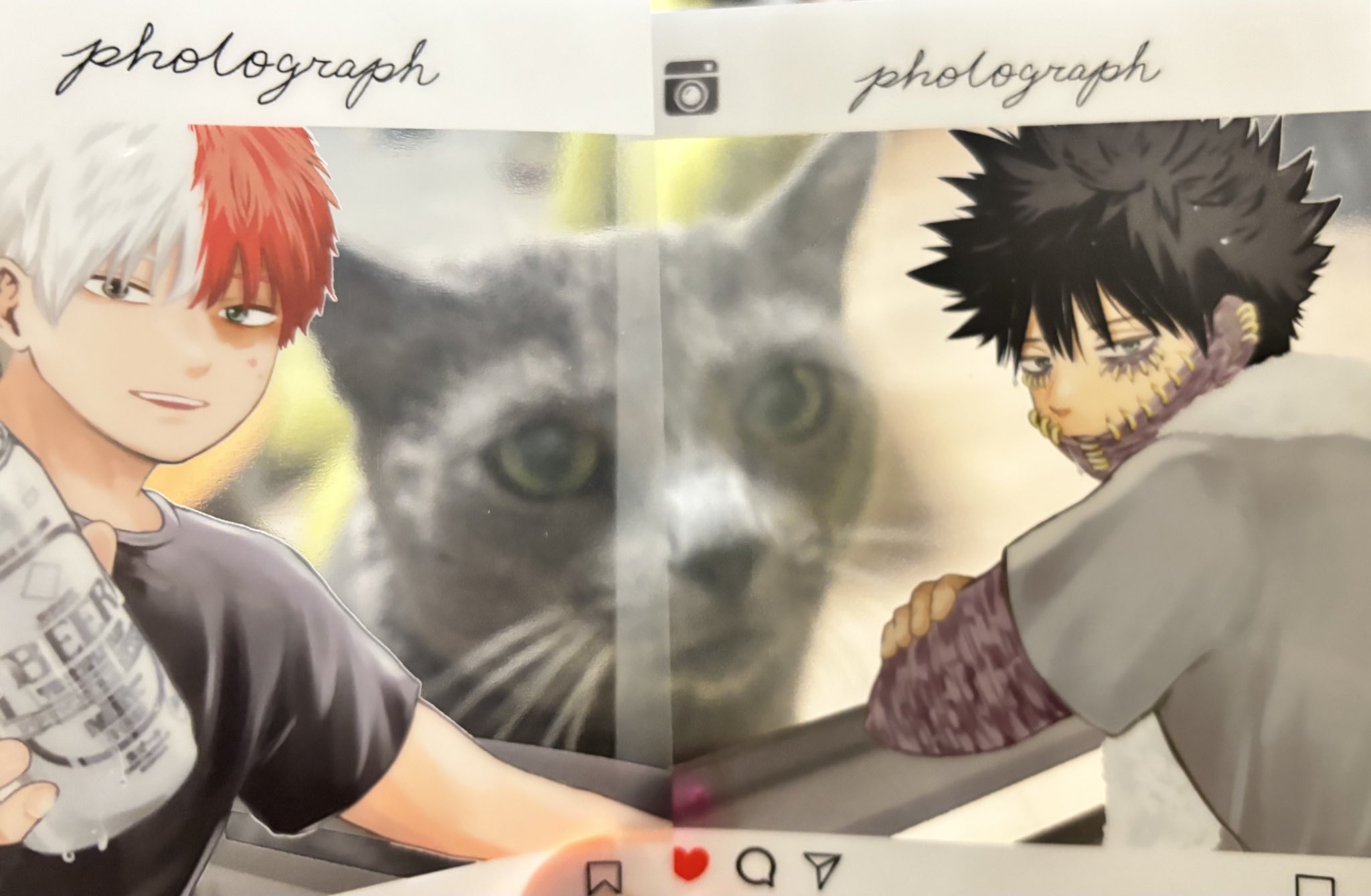 ❤hiyoko❤ ✦──ッ #OSHINOKO × ⊹ 𝖡𝗅𝖺𝖼𝗄 𝖣𝖾𝗏𝗂𝗅 𝗌𝗍𝖺𝗋𝗌