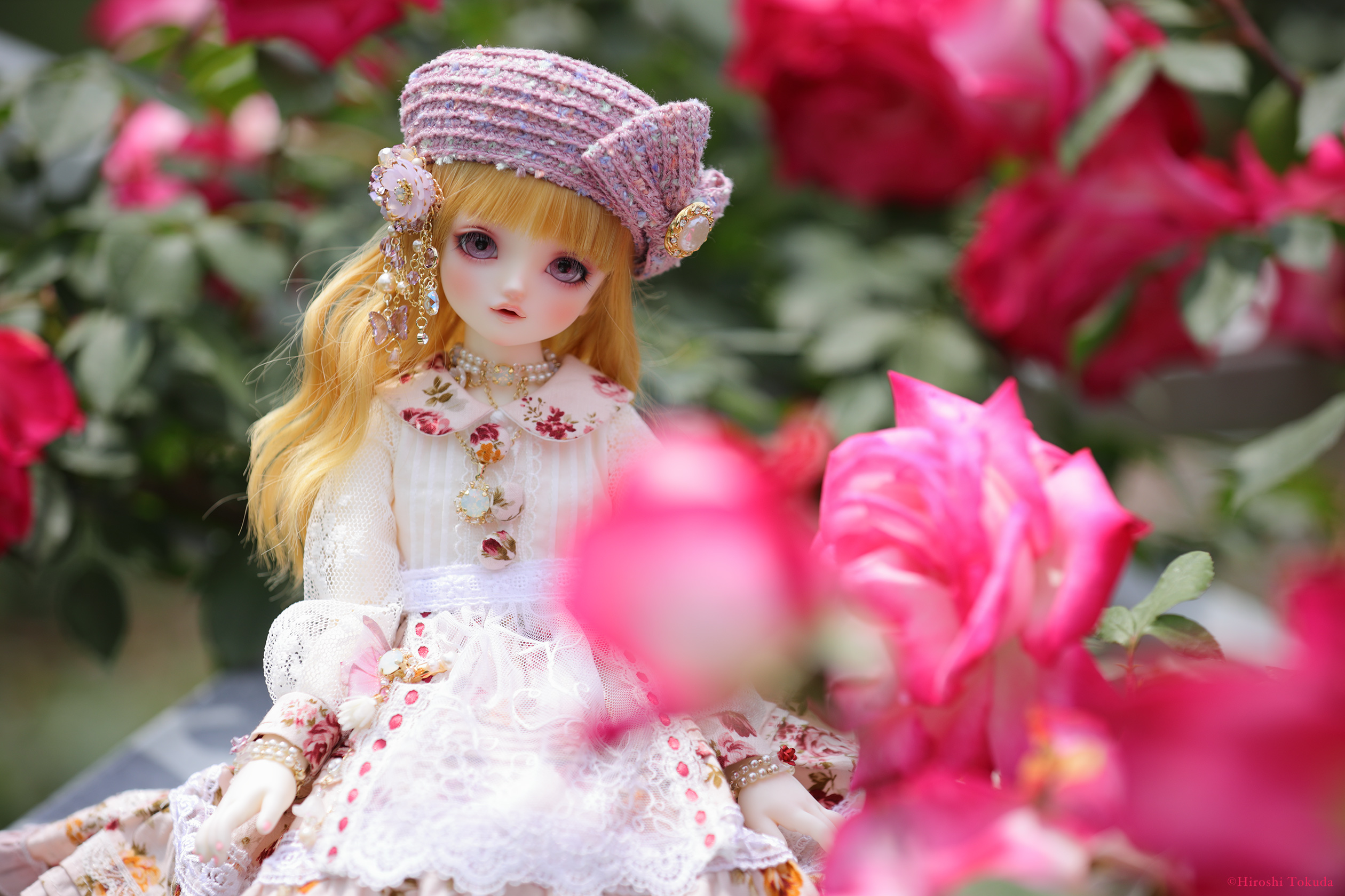 ^アリア様⑅22 lacrimosaDress - অনুসন্ধান / X