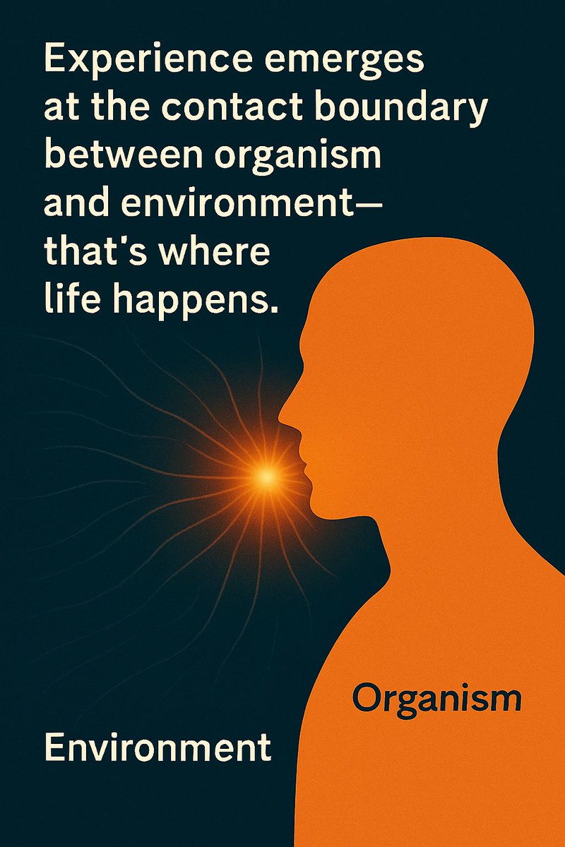 DinaAkhmyatova's tweet image. Experience emerges at the contact boundary between organism and environment - that’s where life happens. 
#FieldTheory
