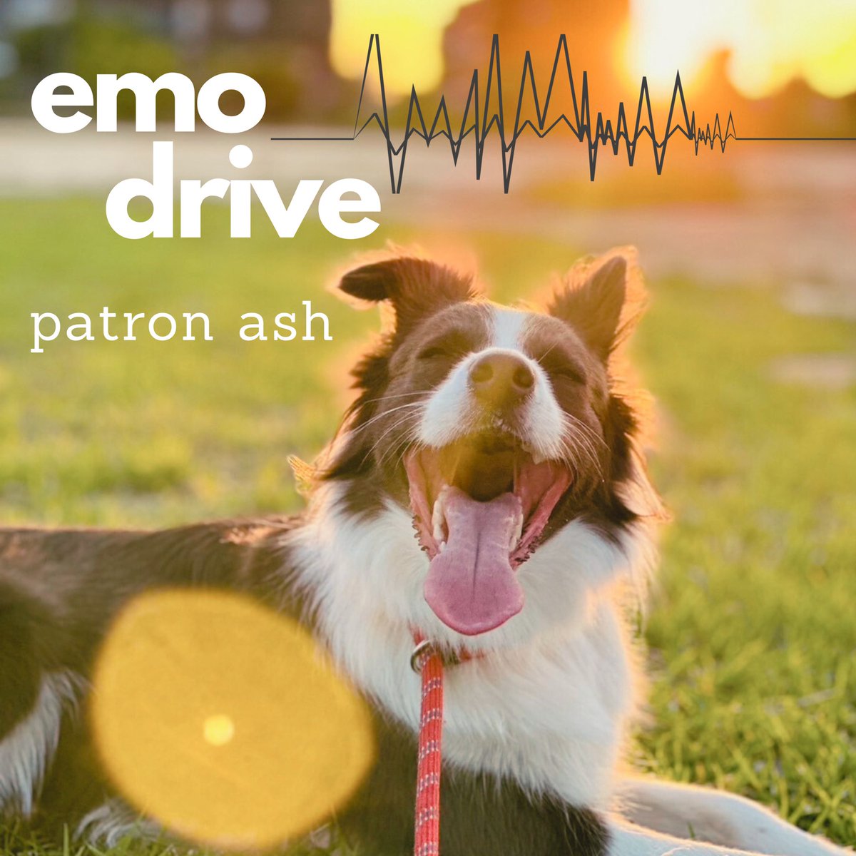 patron_ash's tweet photo. 【お知らせ- ̗̀📣】

8月1日に
新曲「 emo drive」を各配信ストアにて
配信開始します🚗☀️🌊

おたのしみに〜🎶

 #patronash  #オリジナル曲 https://t.co/sWkVUwRx44