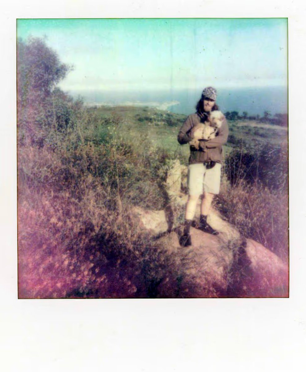 Picked up two Polaroids by <a href="/justinaversano/">justinaversano</a> last night. 

Couldn't sleep, so decided to collect.
