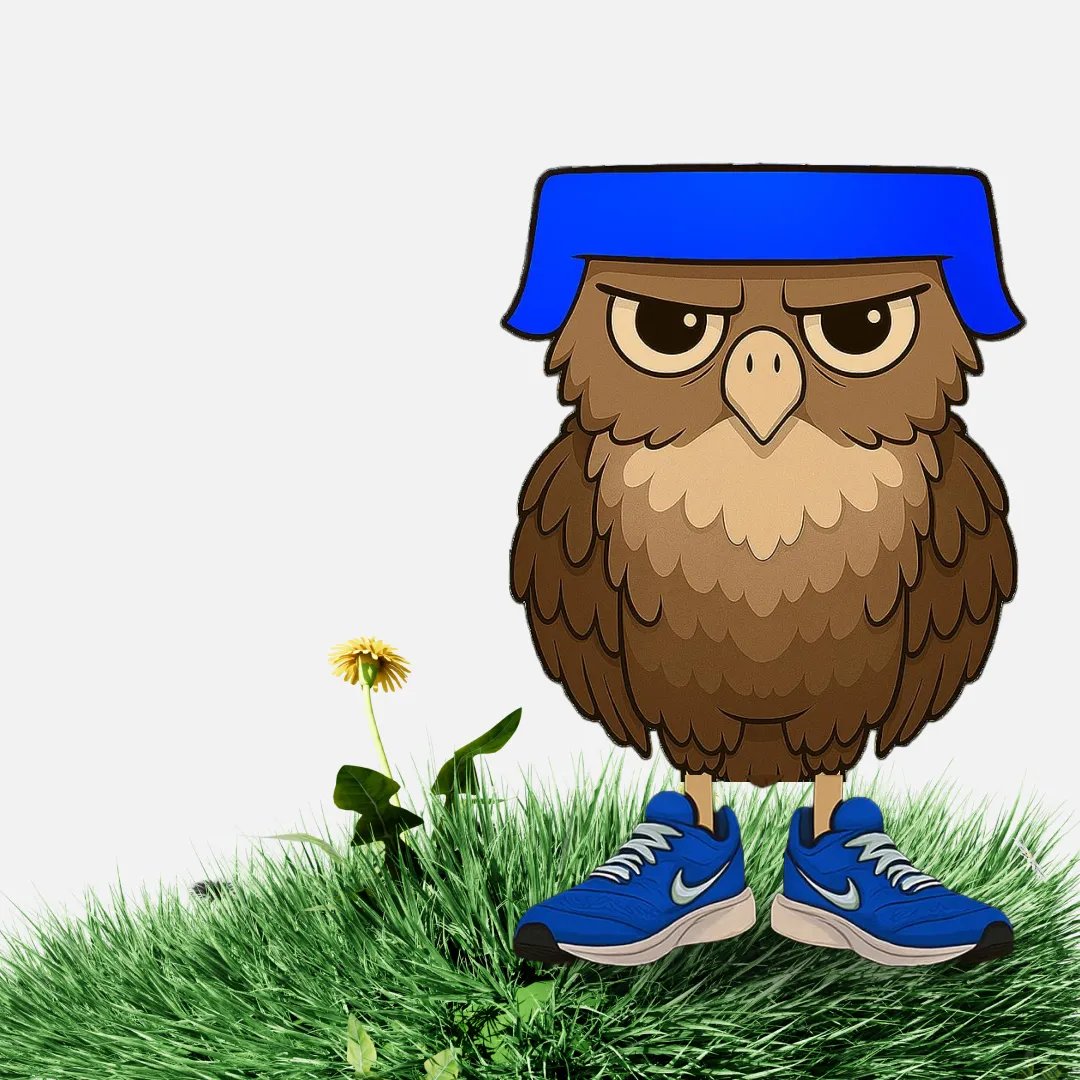 POV: new activity pool dropped on HealthBlocks