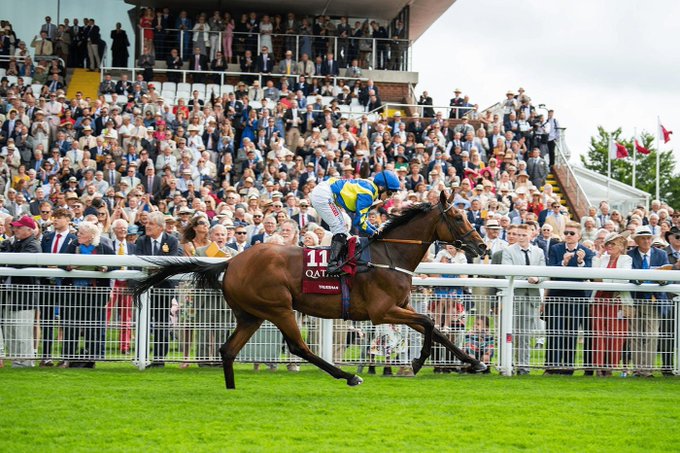 OldGoldRacing's tweet photo. Awful news to report that sadly Trueshan suffered a fatal injury in the Goodwood Cup.

Our thoughts and condolences to Alan King and all connections. https://t.co/wU33eNMSlk
