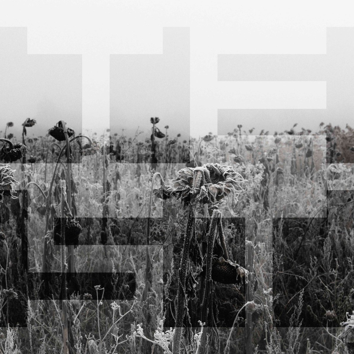 #TESTSET
 
ニューシングル「Deleter」
本日配信

‘Deleter’
The new single, out now.

試聴はこちらから / Listen now
testset.lnk.to/Deleter

#TESTSET 
#砂原良徳 #LEO今井 #白根賢一 #永井聖一