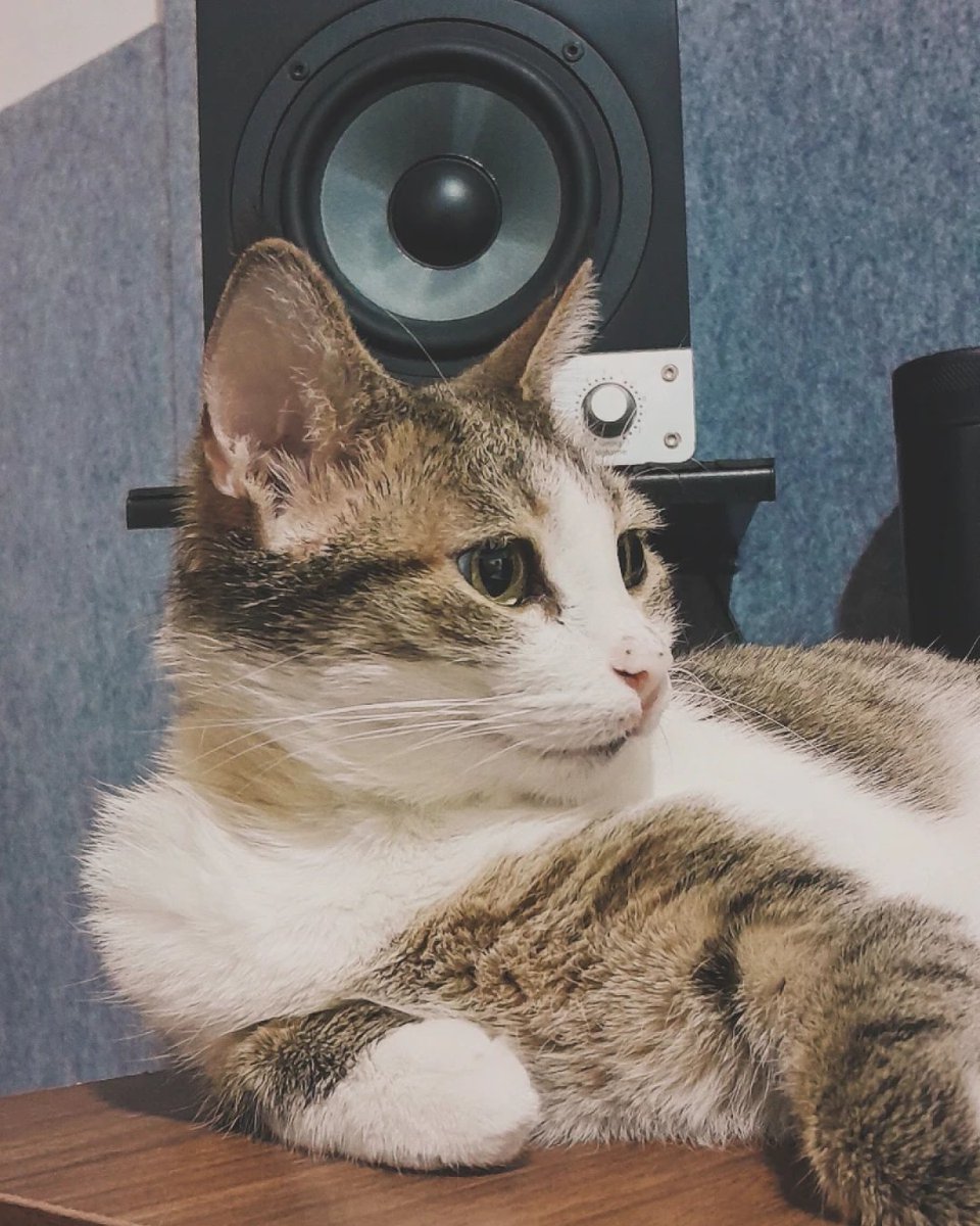 EVE Audio tweet media