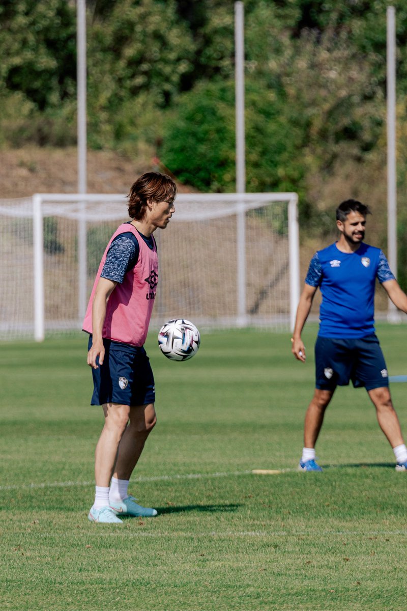 Doyens, Le Média tweet media