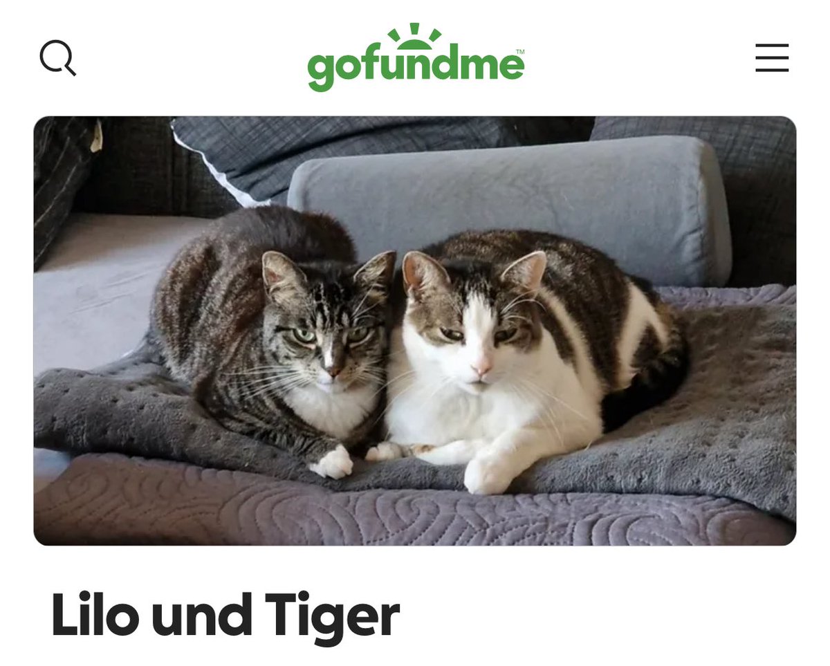 Eigentlich wollte ich das hier nicht posten, da Twitter oft ein dunkler Ort ist 😅

Aber wenn jemand einen Euro über hat oder das Retweeten würde wäre ich euch echt dankbar 🙏🏼(nur Spenden falls es wirklich geht!)

Schönen Tag ☀️

gofund.me/5173ddd6