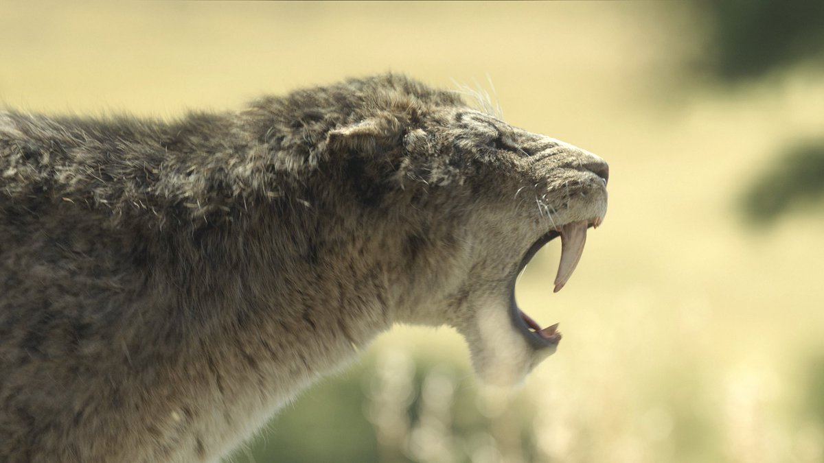 🚨 First look at #PrehistoricPlanet: Ice Age!