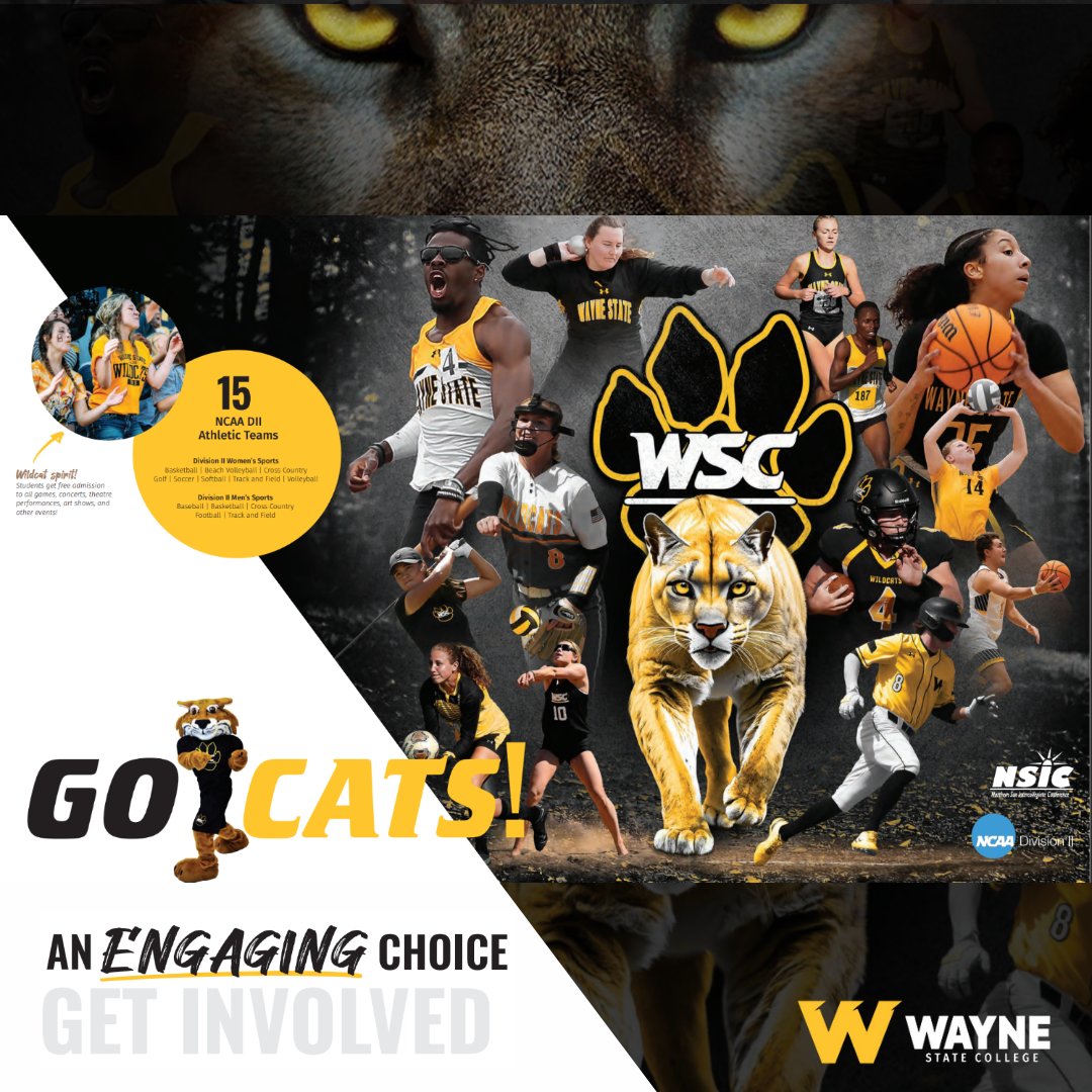 Wildcat Athletics ➡️ Graduate Champions. 

Fast Facts on athletics at WSC:
⚫ 15 NCAA DII Sports
🟡 31 Conference Championships
⚫ 78 Academic All-Americans
🟡 Mascot ➡️ Willy the Wildcat
⚫ Northern Sun Intercollegiate Conference
🟡 BLACK &amp; GOLD🔥

#PlayForThePaw