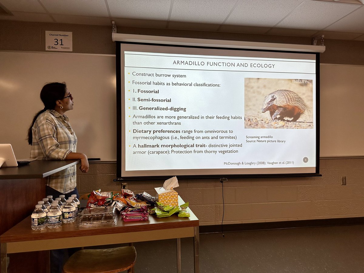 biomechanicsYSU's tweet image. My graduate student, Shradha Suman Yadav, successfully defended her thesis yesterday. She is finishing an excellent project on ecomorphology in #armadillos #ysu #ysustem #funkymorph #ysubiosciences