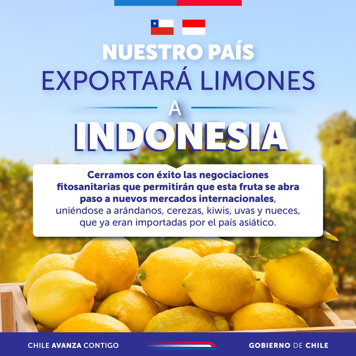 🍋 Cerramos exitosamente las negociaciones fitosanitarias que permitirán incorporar los limones a un mercado clave del Sudeste Asiático.

Con más de 280 millones de habitantes, Indonesia representa una gran oportunidad para nuestros productos agroalimentarios.