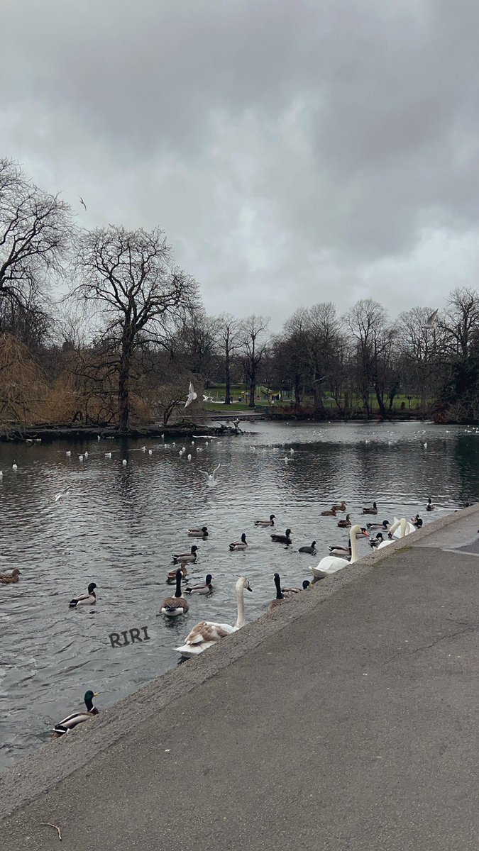 السلام عليكم ورحمة الله 

مساء الخير 🤍🌿