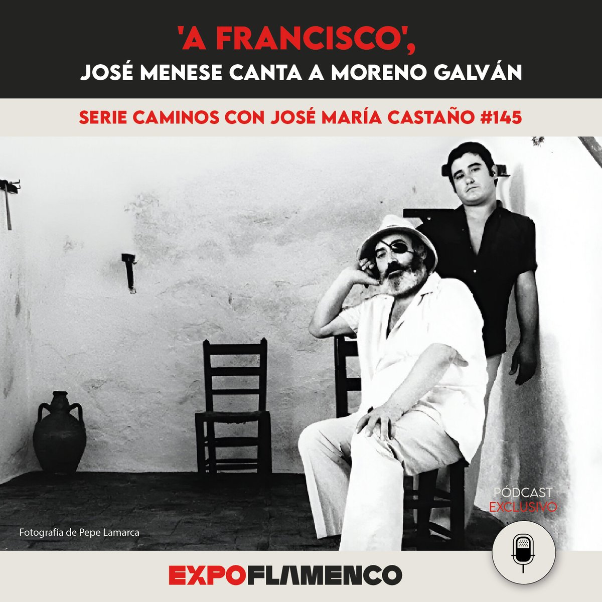 Pódcast 📻 | Se cumplen 9 años sin José Menese, voz de olivo y besana en La Puebla  

expoflamenco.com/podcast/a-fran…