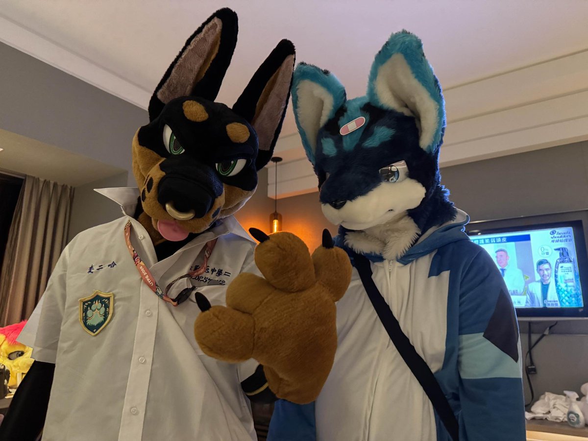 🐶壞學生與好學生🐺
F.t
🐶<a href="/DuskonZeon/">蒼曉 Duskon ダスコン 🐺🔥🐕‍🦺</a> 
毛替 👤<a href="/pickthefeather/">Blusky麥🦴</a> 
📷☀️🦁<a href="/LKS17SIMBA/">太陽@🔆面對現實中</a>