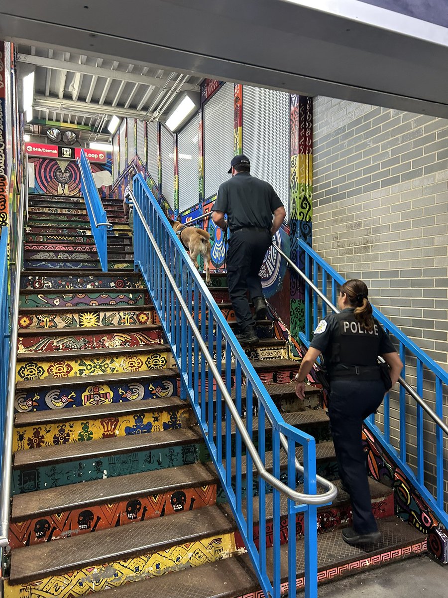 CPD_Transit (@cpdtransit) on Twitter photo Canine Officers and members from the PTS 7392 tact team conducted a Homeland Security Mission at the 18th Street Pink Line station. <a href="/CPD_BCT/">CPDCounterterrorism</a> <a href="/Chicago_Police/">Chicago Police</a> Canine Officers and members from the PTS 7392 tact team conducted a Homeland Security Mission at the 18th Street Pink Line station. <a href="/CPD_BCT/">CPDCounterterrorism</a> <a href="/Chicago_Police/">Chicago Police</a>