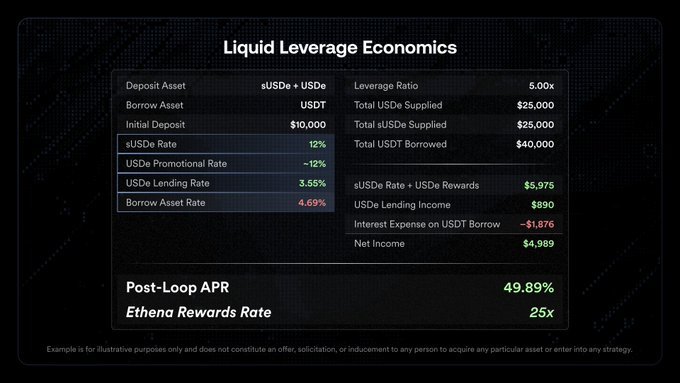 Liquid Leverage Economics chart showing 49.89% post-loop APR and 25% Ethena Rewards Rate