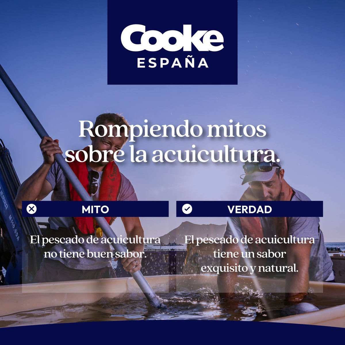 ¡Desmontemos mitos sobre el pescado de acuicultura! La lubina tiene un sabor exquisito y natural. La acuicultura es clave para un futuro sostenible, saludable y responsable. Productos frescos, sabrosos y de calidad. ¡Pruébalo!
.
#MitosYVerdades #AcuiculturaSostenible