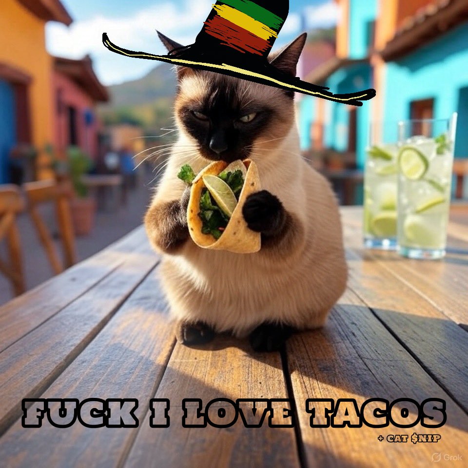 DaCatNipDealer's tweet photo. @TheOpenChain mmmm tacos w/ xtra $NIP tho https://t.co/a7PCSXCLgk