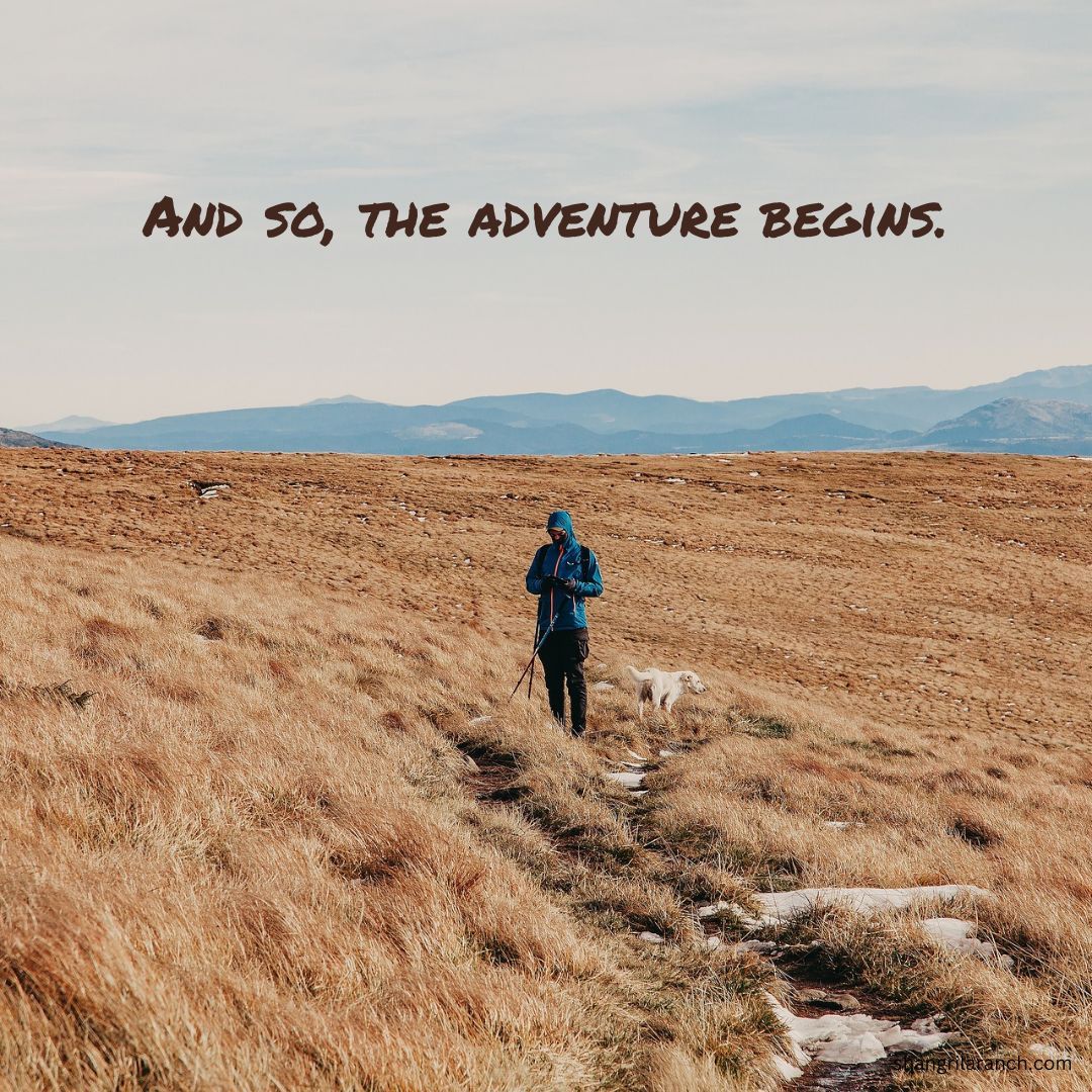 SLRNude's tweet image. The thrill of kicking off something new! 🎉 Don't wait for permission; create your own path. What's your next move? #OnwardsAndUpwards