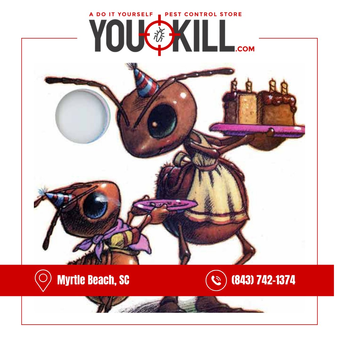 MyrtleDo40662's tweet image. Tired of ants invading your home? Try our ant control products that are proven to work fast. Take the first step to an ant-free space today! #AntControlProducts
youkill.com
