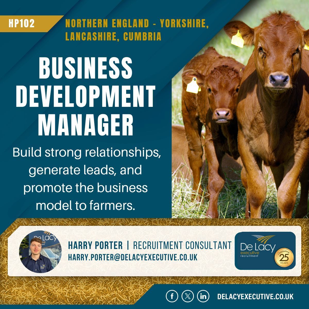 Be part of a growing business that's helping shape the future of UK beef production!

You’ll take the lead in identifying and securing new farming partners to finish calves. 

Apply here: delacyexecutive.co.uk/jobs/hp102-bus… 

#Hiring
