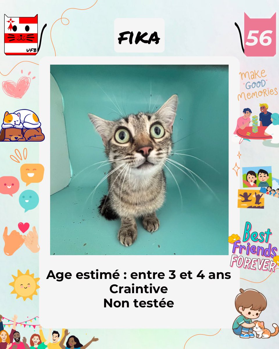 justineducern's tweet photo. Je suis en fourrière en Bretagne dans le dépt 56     
Je suis à ADOPTER   
afin de me sauver de l'euthanasie.     
Mais avant le 01/08/2025      
Renseignements :     
Urgences Fourrières de Bretagne :      
Lien⤵️ https://t.co/cij7aMhLYw… https://t.co/FyszNWBsnk