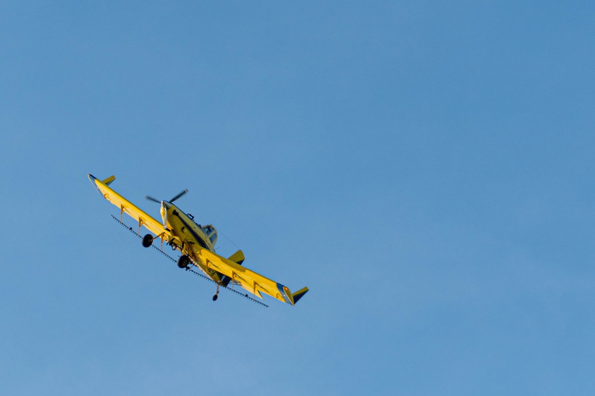 🌽 Early morning activity at the airport. An Air Tractor was hard at work near the field this morning. ☁️☁️☁️🛬 #aviation #ramplife #midwest