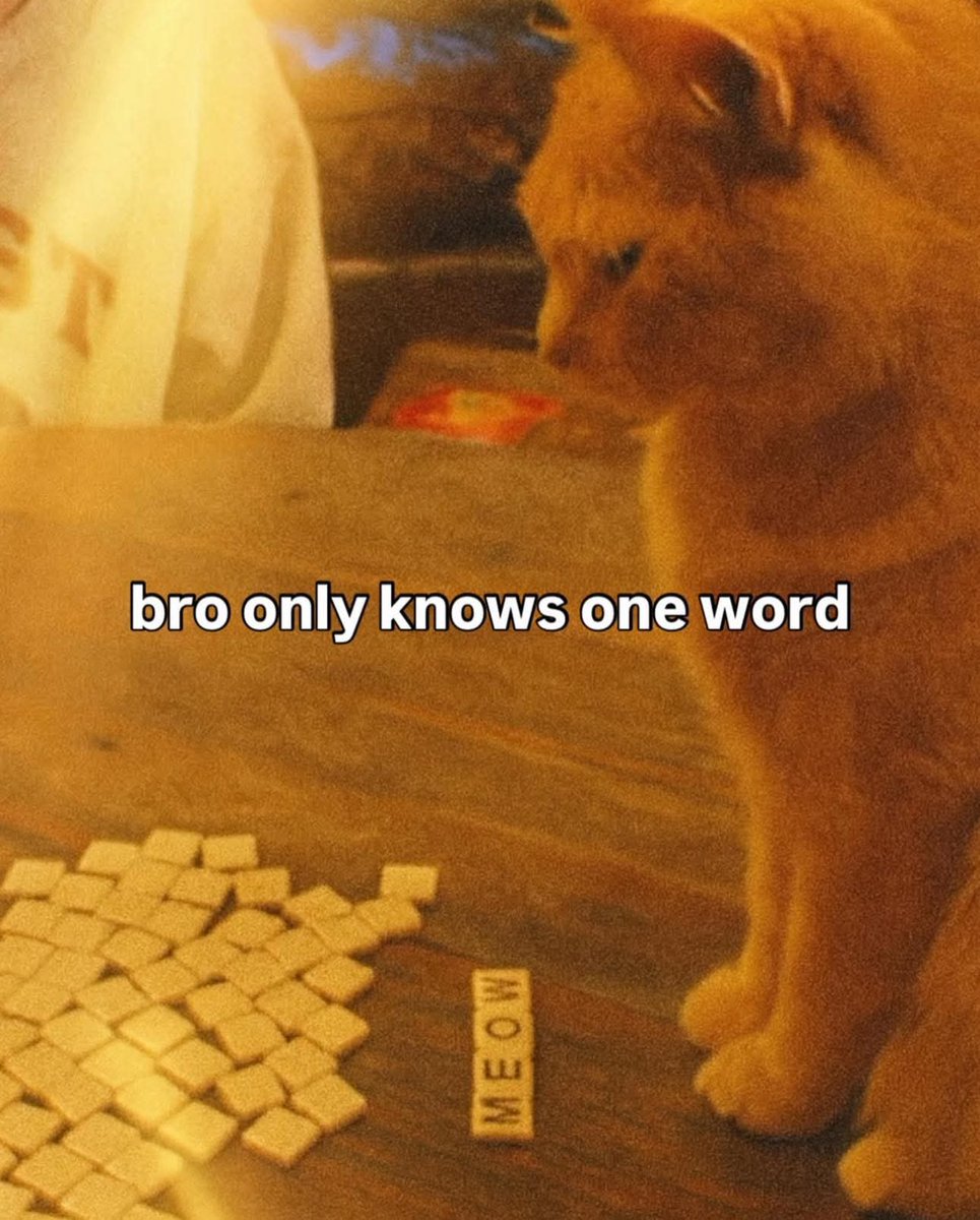rei (@reiproms_) on Twitter photo Just like the cat only knowing one word, "ZetaChain"simplifies interaction between various blockchains, making it easy to communicate across platforms. 🔥
#Zeta #ZetaChain #UniversalBlockchain #Memes #Art
<a href="/zetablockchain/">ZetaChain 🟩</a> <a href="/ZetaChain_Fil/">ZetaChain Filipino</a> Just like the cat only knowing one word, "ZetaChain"simplifies interaction between various blockchains, making it easy to communicate across platforms. 🔥
#Zeta #ZetaChain #UniversalBlockchain #Memes #Art
<a href="/zetablockchain/">ZetaChain 🟩</a> <a href="/ZetaChain_Fil/">ZetaChain Filipino</a>