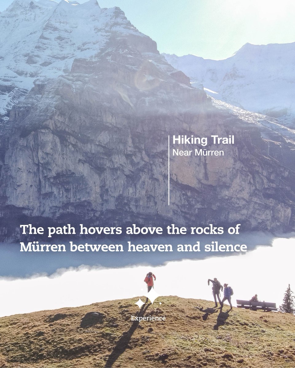 JungfrauRegion's tweet photo. Through blooming meadows and quiet heights Mürren’s trail lets you breathe freely 🌸  

@SwissMurren | @madeinbern | @MySwitzerland_e 

#jungfrauregion #murren #mürren #swissalps #madeinbern #inLOVEwithSWITZERLAND #europe #exploreswitzerland https://t.co/A6ohHyeGZ9